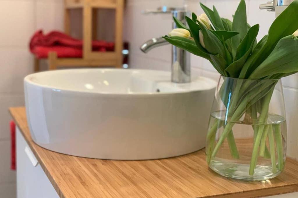 Traumhafte Terassenwohnung Im Stadtpalais Apartment